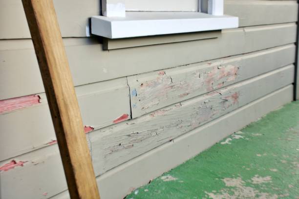 Best Storm Damage Siding Repair  in South Bound Brook, NJ
